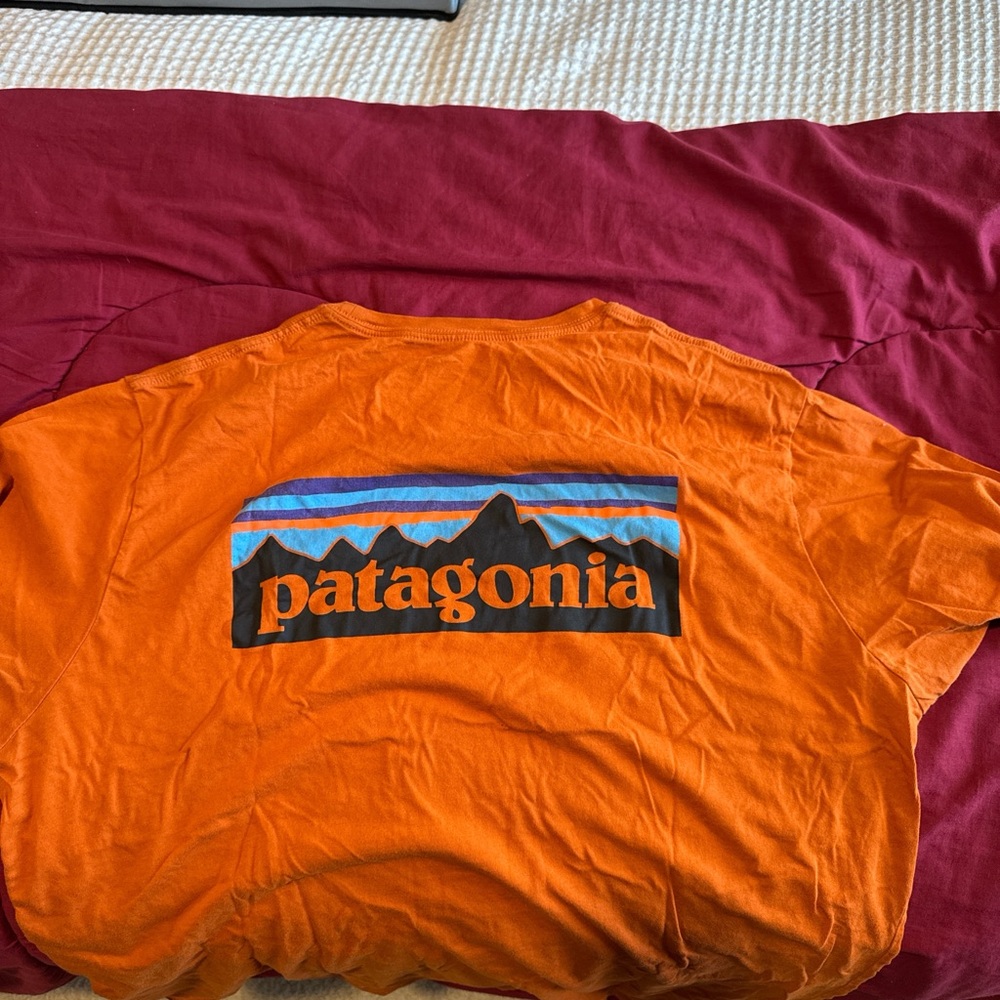 Patagonia Vibrant Orange Tee with Mountain Graphic